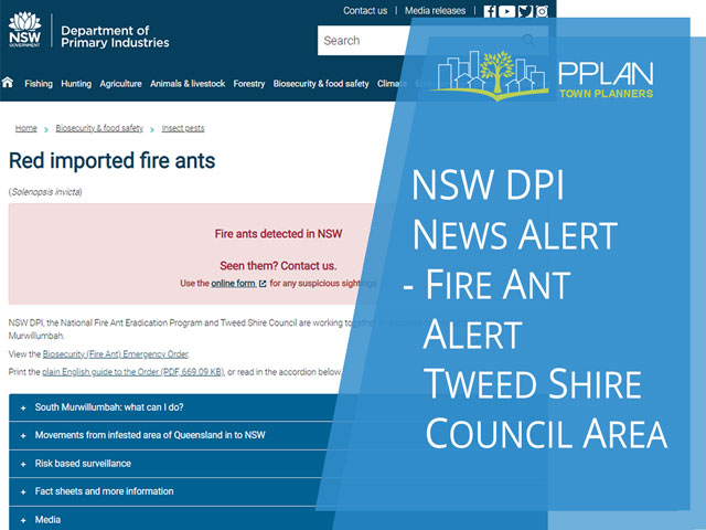 fire ant alert tweed shire council area by nsw dpi