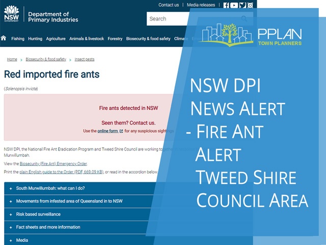 fire ant alert for tweed shire council area by nsw dpi